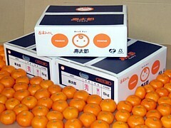 写真:寿太郎プレミアムのパッケージ
