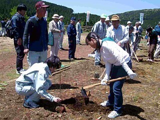 写真:市民参加の森づくり:あまぎ交流の森(伊豆市)
