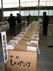 写真:乾しいたけ品評会(伊豆市)