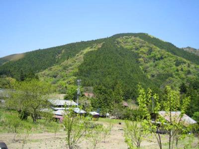 写真：畑からの山