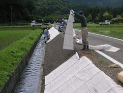 写真：雑草対策