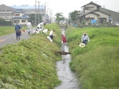 写真：草刈り