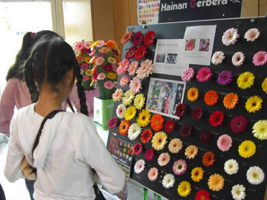 写真:品種展示