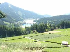 写真：川根本町久野脇地区の大井川沿いの山と茶園が織りなす風景