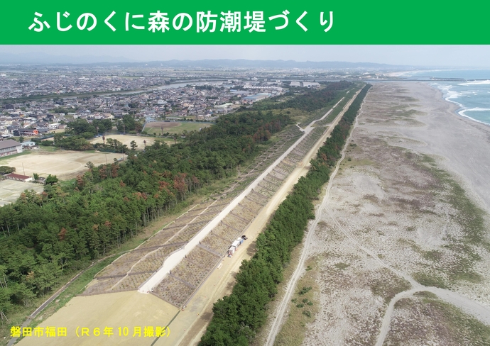 ふじのくに森の防潮堤づくり磐田市福田海岸の写真