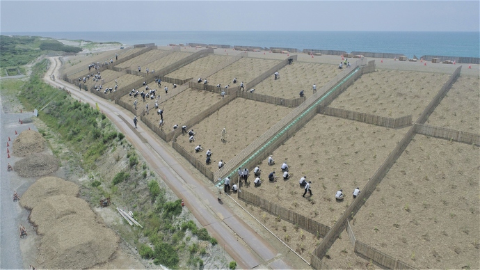 社員による植樹活動の写真