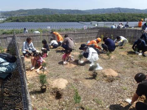 写真：掛川市の植樹祭2