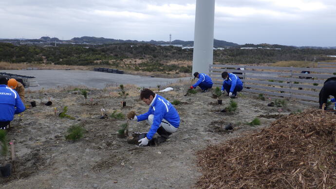 植樹の様子