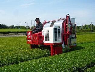 写真：茶園での機械作業の様子