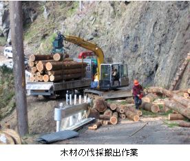 写真：木材の伐採搬出