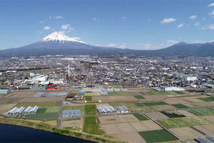 写真：本市場大渕線とその周辺