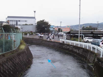 画像：一級河川神田川着前写真その1