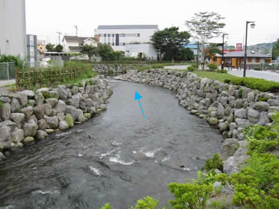 画像:一級河川神田川着後写真その1