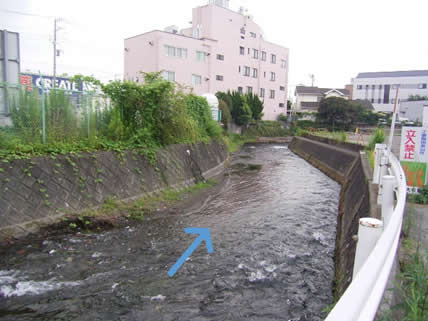 画像：一級河川神田川着前写真その2