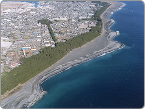 写真:清水海岸