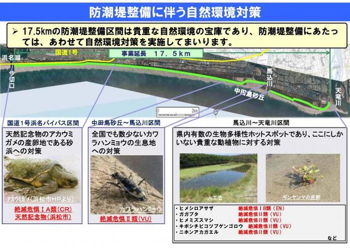 写真：防潮堤整備に伴う自然環境対策