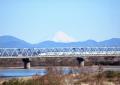 写真：天竜川右岸新幹線鉄橋南側河原
