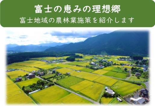富士農林事務所パンフレット（富士の恵みの理想郷）の写真（外部リンク・新しいウィンドウで開きます）