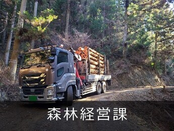 森林経営課