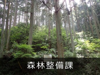 森林整備課