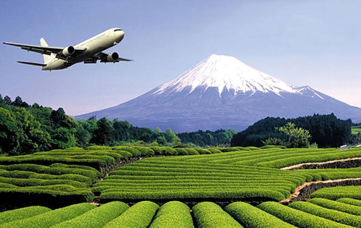 写真：富士山、茶畑を背景に飛ぶ飛行機