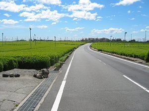 整備された幹線農道の写真