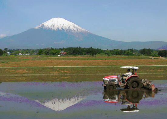 写真：水田風景（春）