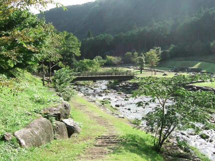 写真：水と緑の杜公園の森づくり