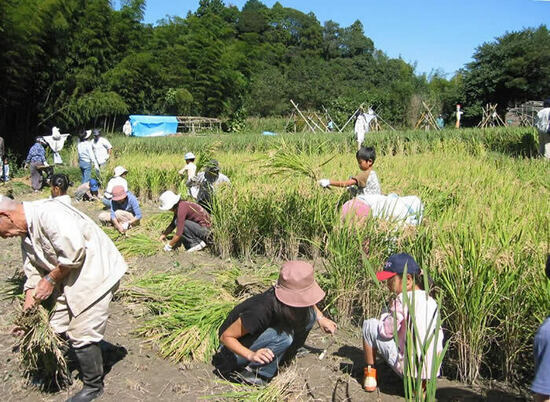 写真：ふるさとの風景を大切にする心を育むとみつか未来塾の風景写真