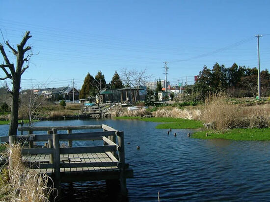 写真：湧水を活かしたひょうたん池の風景写真