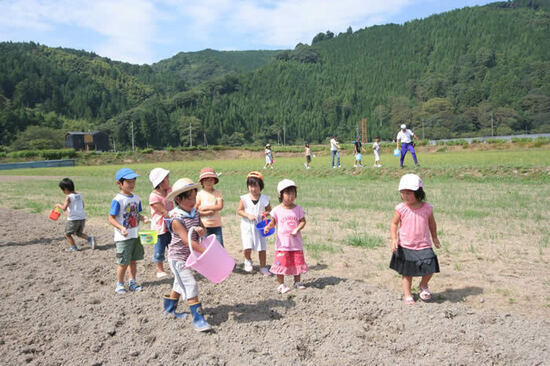 写真：種まき