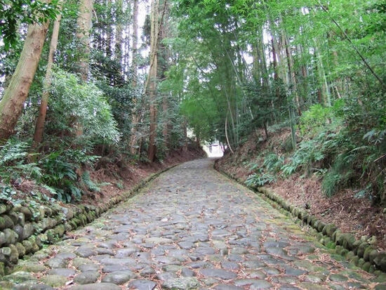 写真：旧東海道金谷坂石畳の風景写真