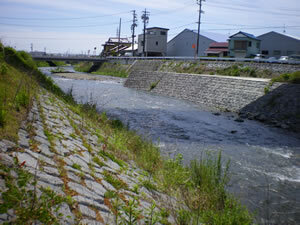 写真:川1