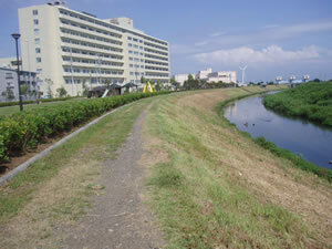 写真:川2