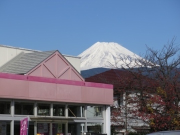 写真：会場から望む冠雪の富士山