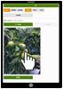 写真：NEC農業技術学習支援システム画面の一部