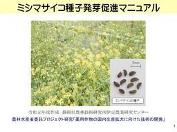 写真:野菜類4