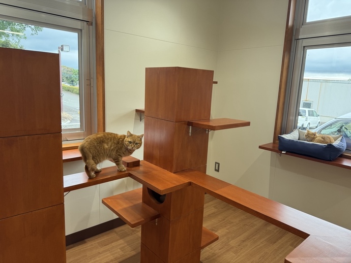 ビタワンふれあいエリア