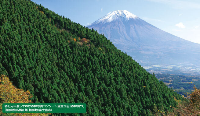 令和元年度しずおか森林写真コンクール受賞作品「森林育つ」（撮影者：高橋正雄　撮影地：富士宮市）