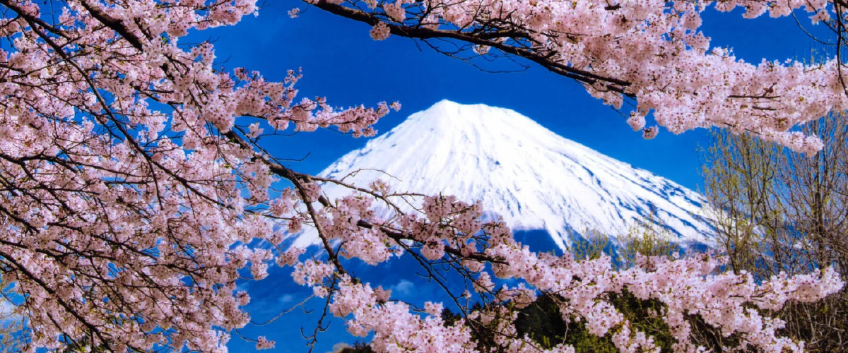 写真：春の風景