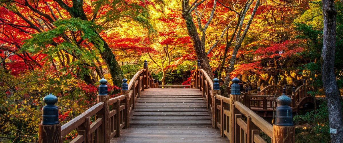 写真：秋の風景