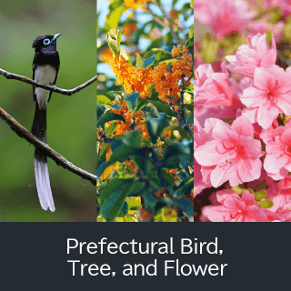 Prefectural Bird, Tree, and Flower