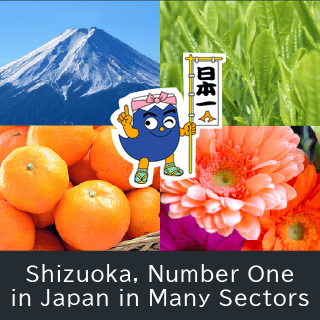 Shizuoka, Number One in Japan in Many Sectors