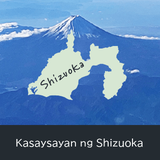 Kasaysayan ng Shizuoka