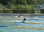 写真：水泳大会2