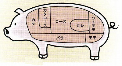 イラスト：豚肉の部位名