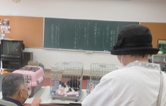 写真:ゲージ内にいる動物を見ている様子