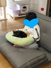 写真:クッションの中でくつろぐうた