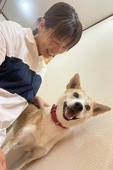 譲渡犬:カイ(2)