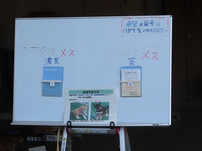 写真:希望する子犬の写真のボックスに連絡先を入れるシステム